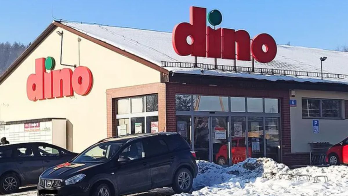 Promocje w Dino.
