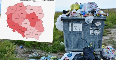 Nowy raport. Mamy problem ze śmieciami, co widać w cenach