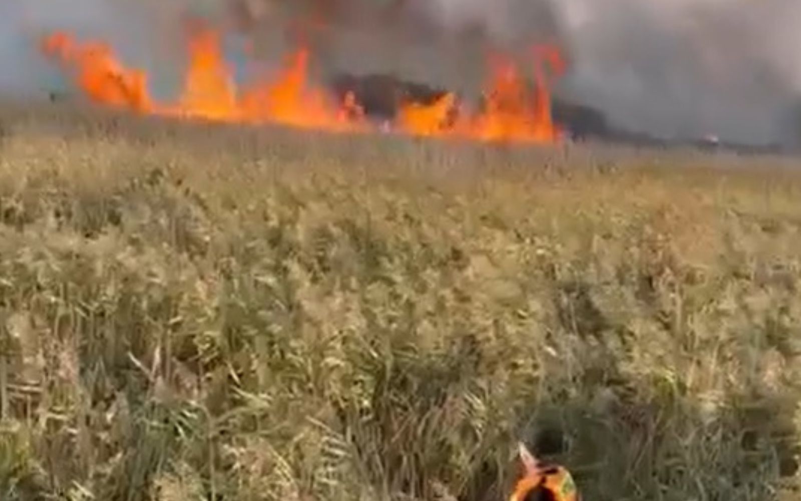 Pożar na terenie postulowanego PN Doliny Dolnej Odry