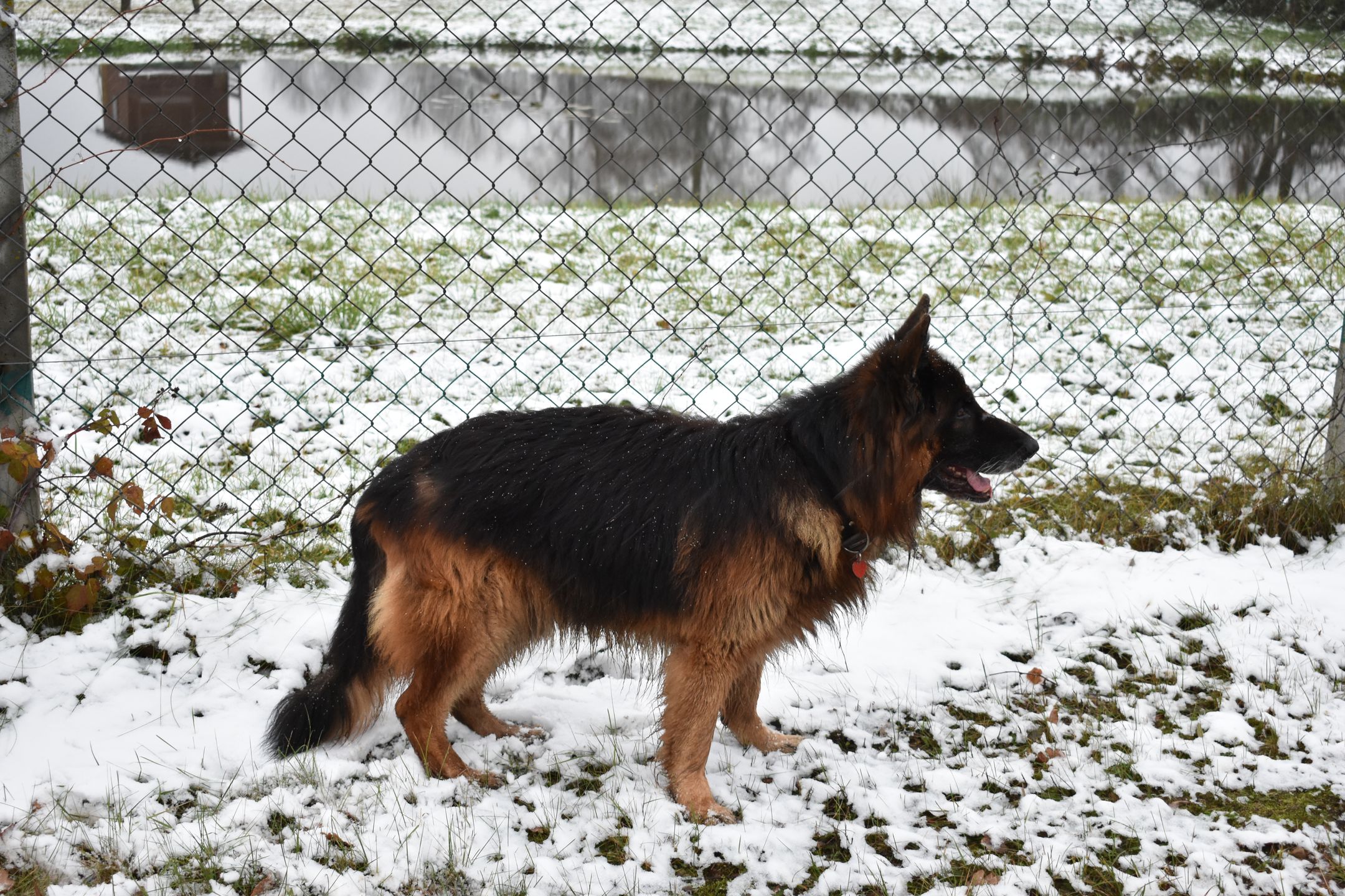 Nikon D3400 - test lustrzanki dla każdego 73