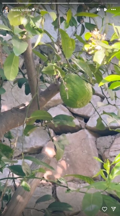 Blanka Lipińska pokazała willę w Hiszpanii