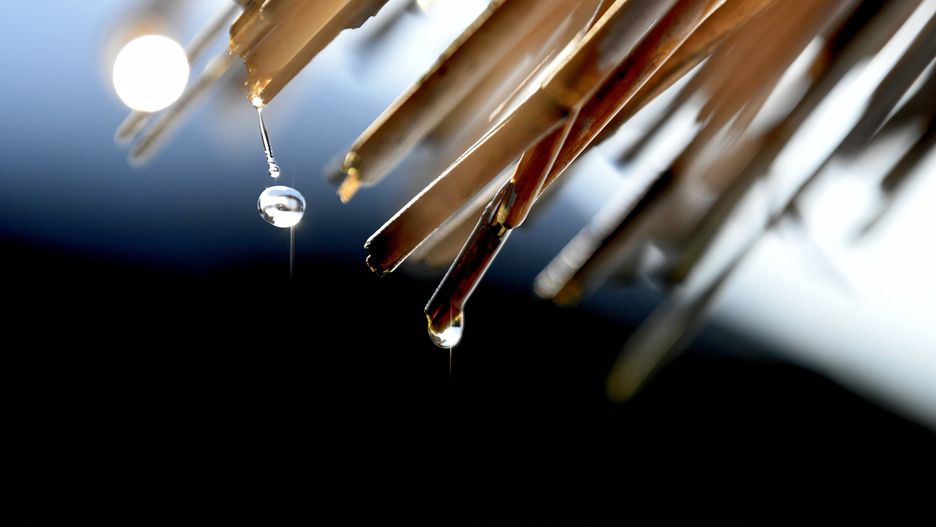 Pogoda. Wrocław. 24 lutego 2021 - wiosna w lutym. Od weekendu zrobi się chłodniej