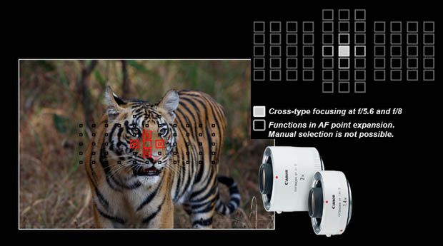 Podświetlanie punktów AF w Canonie 5D MK III może nie być możliwe? 2