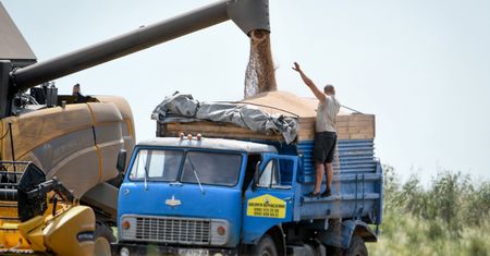 Wali się "przyfrontowa piątka". Bułgaria znosi zakaz importu ukraińskich zbóż