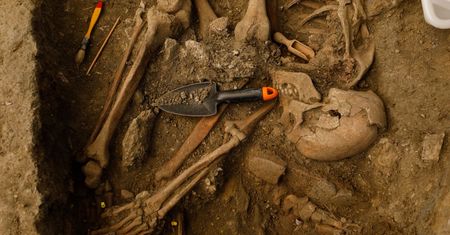Rosjanie chcą sklonować armię wojowników sprzed 3000 lat