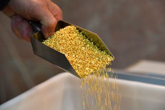 Rosja powiększa wpływy w Afryce. Jest umowa na budowę oczyszczalni złota