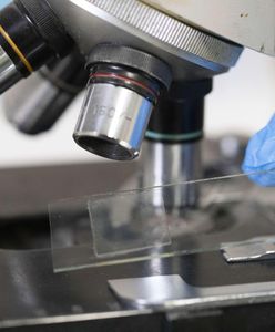 Nie będzie rosyjskiej viagry. Klęska projektu badawczego