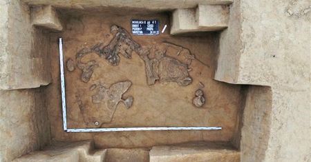 Odkrycia archeologiczne na budowie Via Carpatia. To m.in. 11 grobów