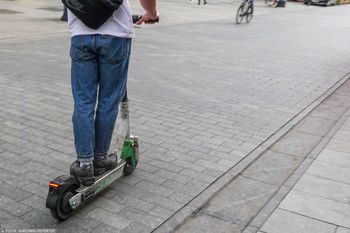 Psy zaatakowały chłopca na hulajnodze. Dziecko spadło do potoku