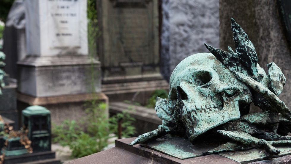 Urban Death Project. Marchewka z babci? Będą używać zmarłych jako nawozu 1