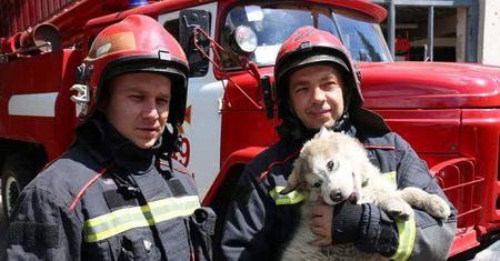 Uratowali go w Charkowie i... został "strażakiem"! Wymowne imię
