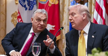 Sukces premiera Węgier po rozmowach z Trumpem. "Orban to zdrajca Unii Europejskiej"