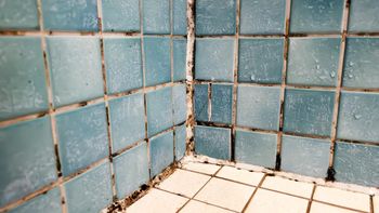 Domowy sposób na czyste fugi. Efekt widoczny już po pierwszym użyciu