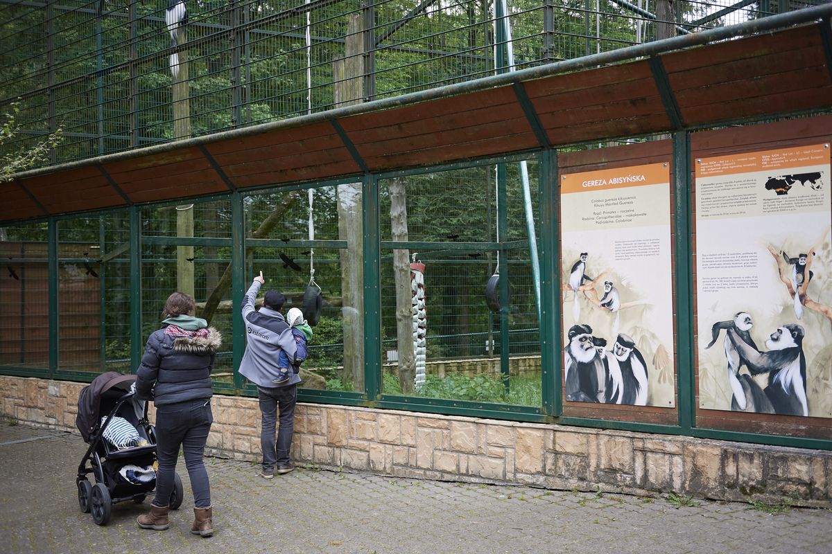 Skandal w polskim zoo. "Molestował"