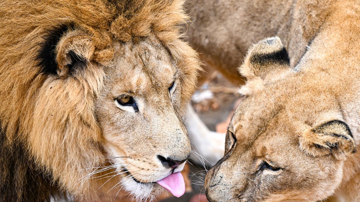 Chłopiec wyszedł z domu i skręcił w złą ścieżkę