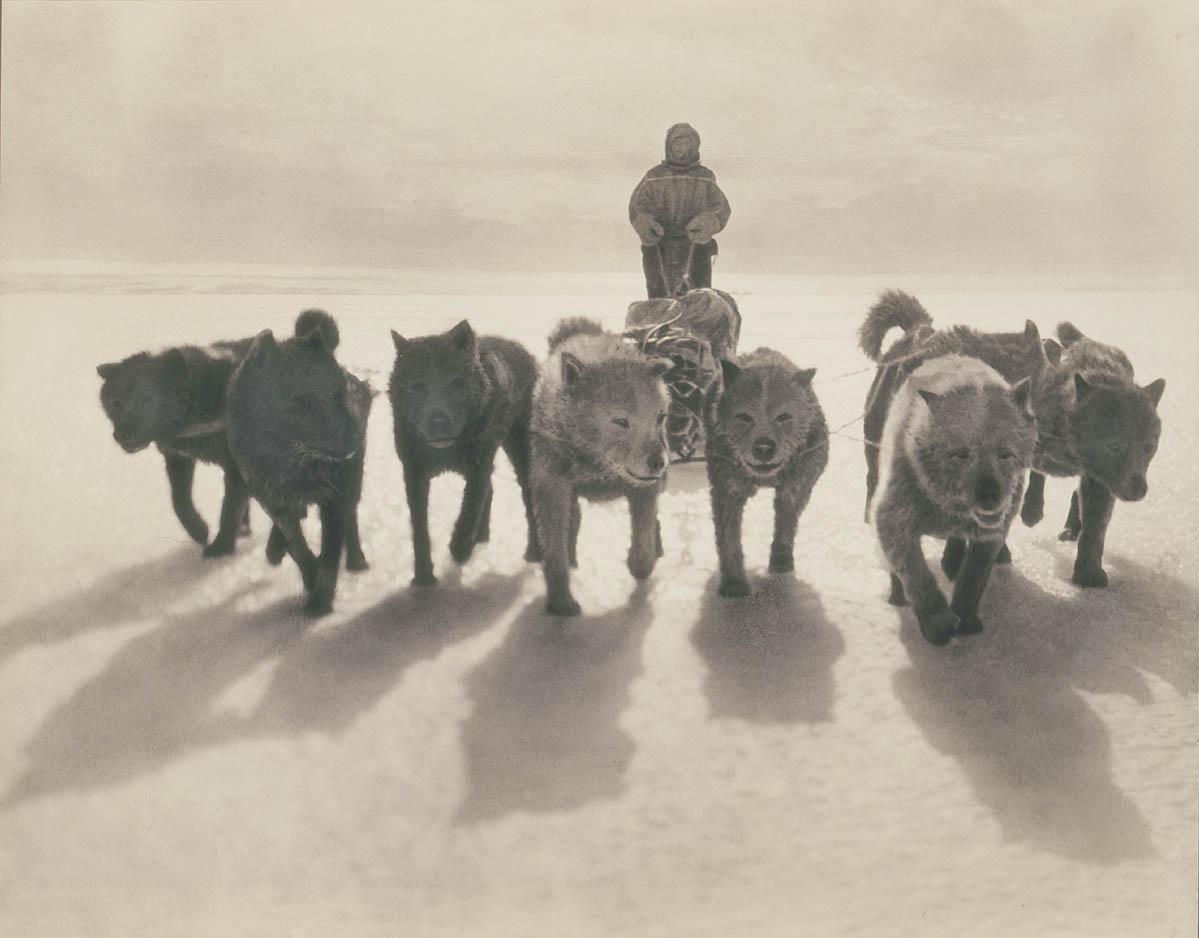 Historyczne zdjęcia z najbardziej dramatycznej wyprawy na Antarktykę