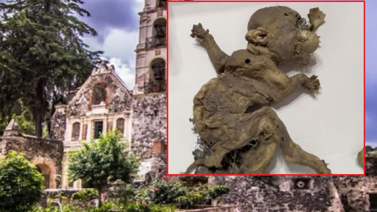 Płód miał zostać znaleziony podczas prac budowlanych.