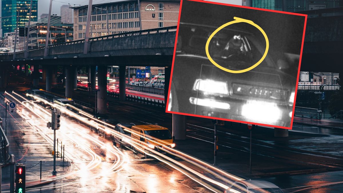 Kierowca przebrał się za Ciasteczkowego Potwora 