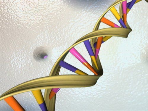 Komputer złożony z DNA - przyszłość informatyki? 2