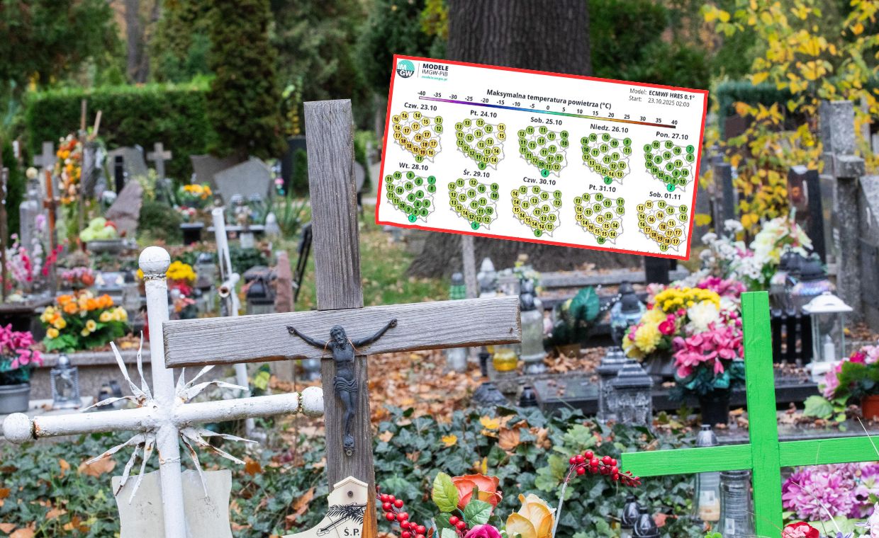 wiadomości,aktualności,WP Wiadomości To nie koniec ciepła? Takie są prognozy na 1 listopada