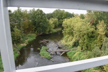 Bagienna Dolina Drwęcy: Przyrodniczy raj nie tylko dla ptaków. Miłośnicy przyrody znajdą tu coś dla siebie