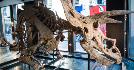 "Big John" idzie na sprzedaż. Jest wart nawet 6,5 mln zł