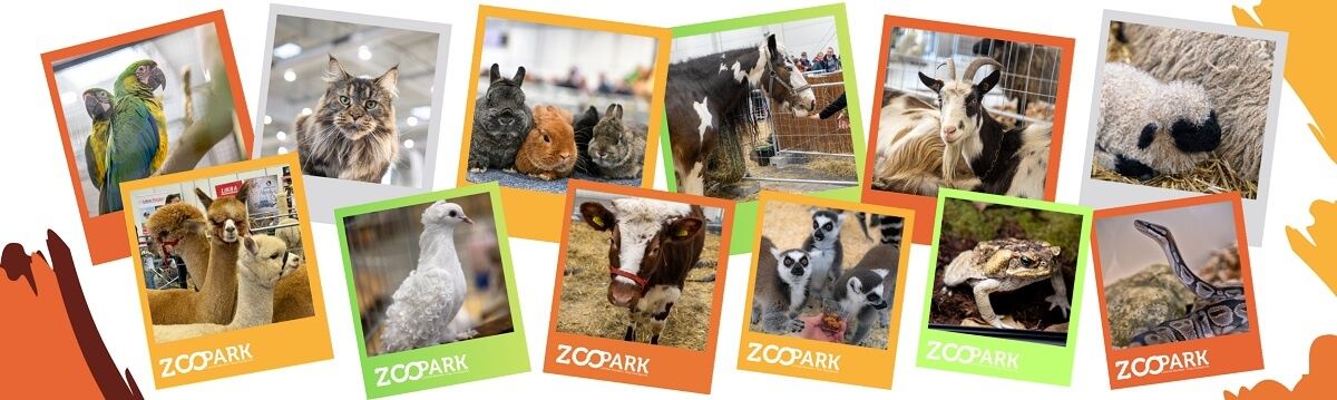 Zdjęcie przedstawiające zwierzęta