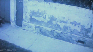 WTF dnia: Rosja to najdziwniejszy kraj na świecie. Te szokujące i prześmieszne GIF-y to potwierdzają 6