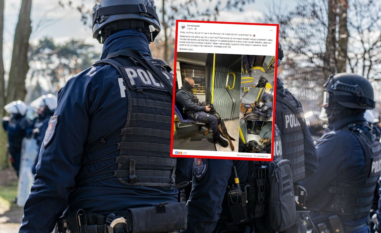 Policjanci z psami w miejskim autobusie. "Nie było radiowozów"