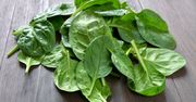 Szpinak - kaloryczność, wartości i składniki odżywcze, właściwości