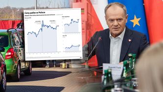 Skok cen paliw na stacjach. Rząd powinien interweniować? Pytamy ekspertów