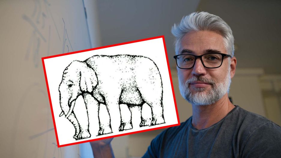 Zadziwiająca iluzja. Ile nóg ma słoń?