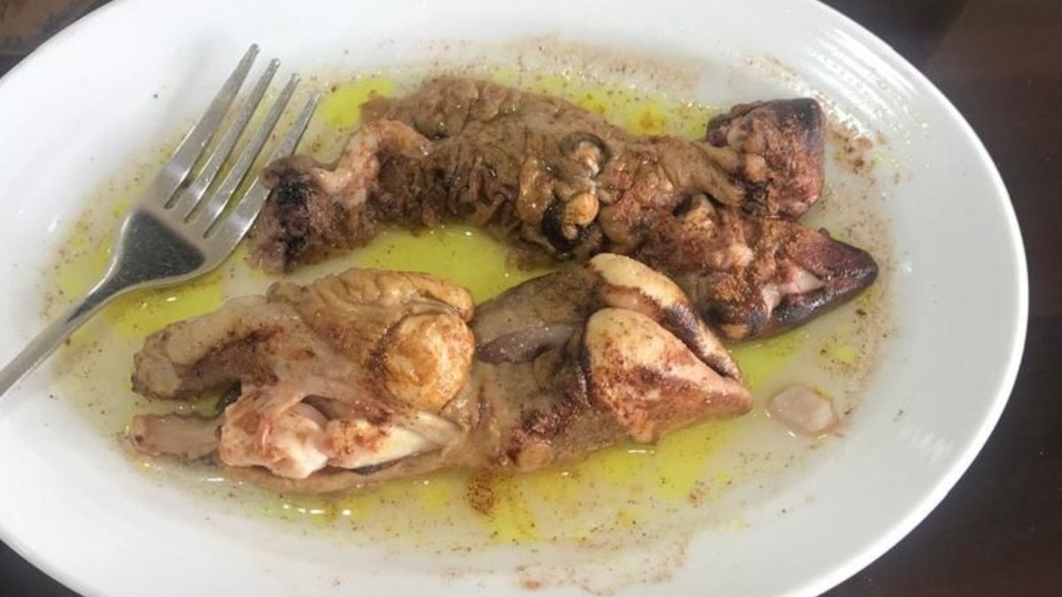 Kaleh pacheh -części owcy z zupy