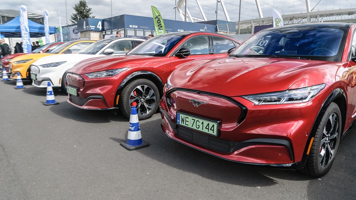 XV Ogólnopolski Zlot Mustangów