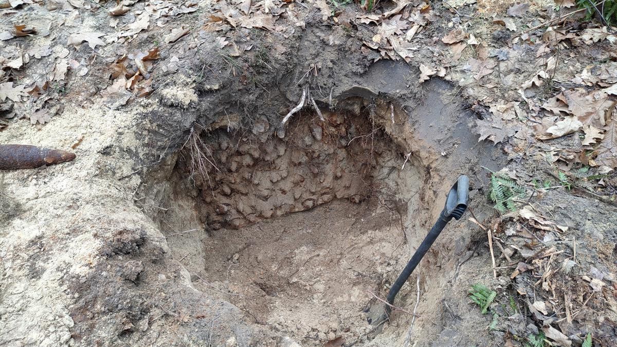 Niewybuchy znalezione w lesie. 