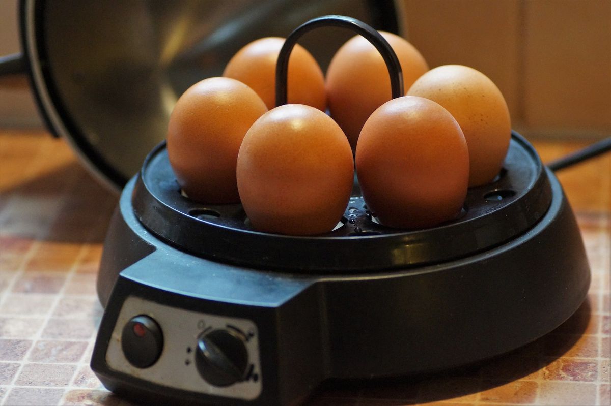 Jajowar to praktyczny gadżet do gotowania jajek