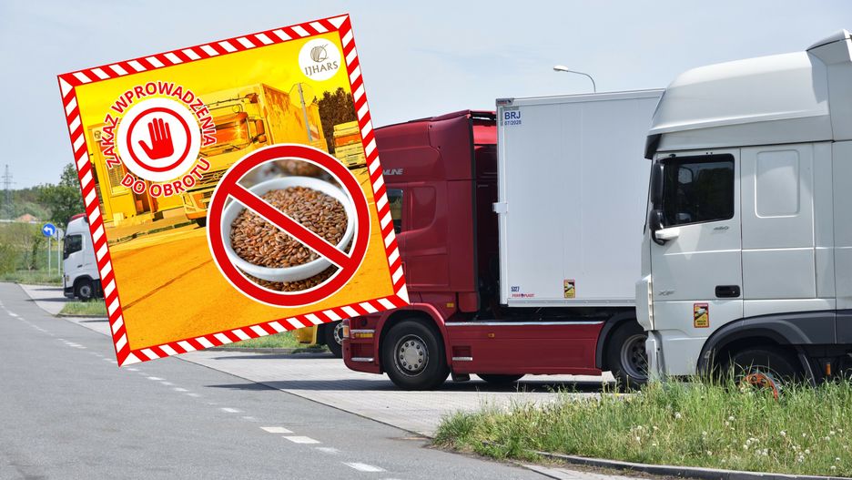 Służby zatrzymały 22 tony nasion lnu z Rosji