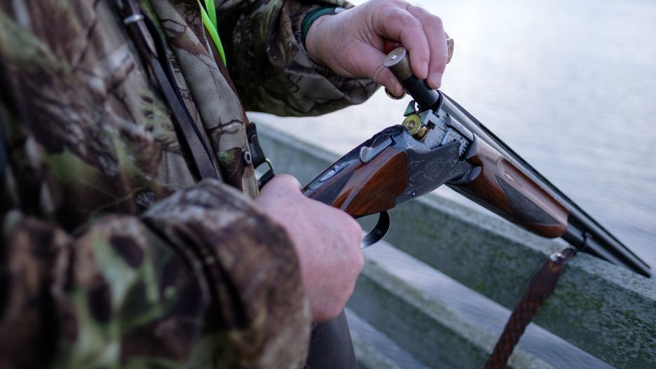 Szenen einer Jagd
Szenen einer Jagd: Ein Jäger lädt seine Winchester-Bockdoppelflinte 12/70 bei einer Bewegungsjagd in Schleswig-Holstein.
Holger Rüdel
Bewegungsjagd, Deutschland, Flinte, Gewehr, Jagd, Jagdszenen, Jäger, Schleswig-Holstein, Winchester