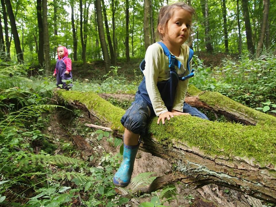 Przedszkole leśne - Dzika Osada
