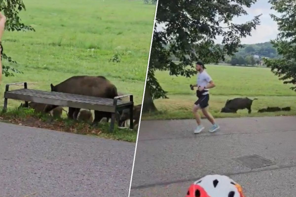 Mieszkańcy Krakowa przeżyli szok. Wideo trafiło do sieci