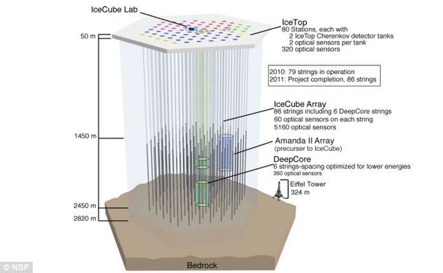 Wirtualny model IceCube. Zwróćcie uwagę na Wieżę Eiffla dodaną do oddania skali przedsięwzięcia. (Fot. NSF)