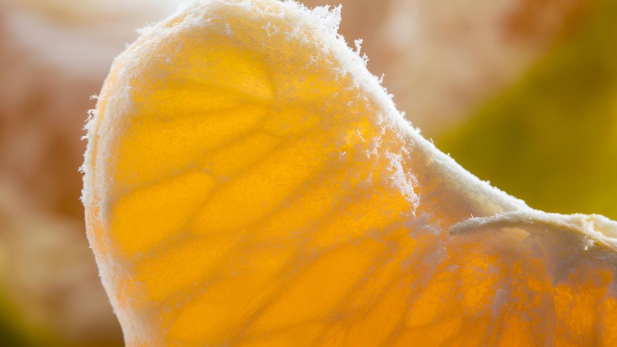 Mandarynki zawierają błonnik