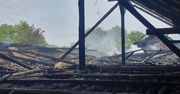 Pożar chlewni w Adolfowie – interwencja straży pożarnej