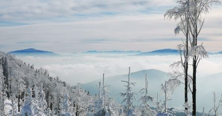 Beskidy. W góry wróciła zima. Warunki narciarskie dobre