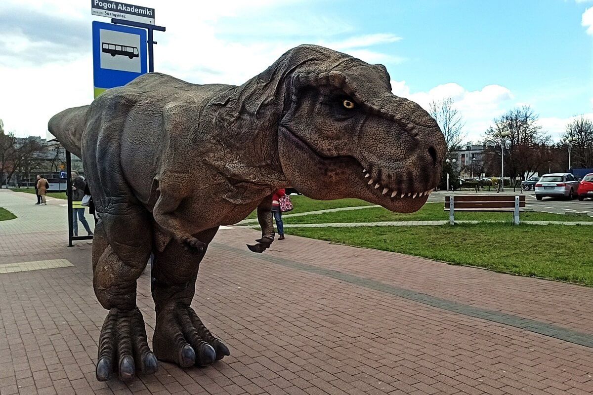 Dinozaur