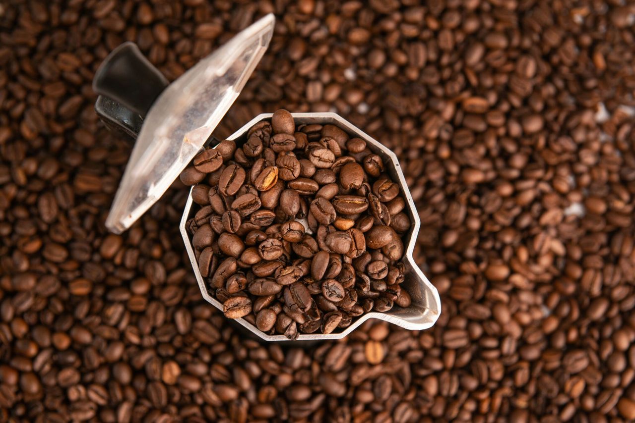 Kawa arabica czy robusta?