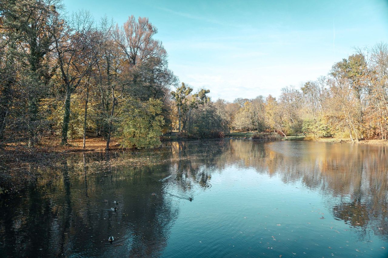 Poznań: Park Sołacki zachwyca jesienią. Złote liście tworzą wyjątkowy klimat