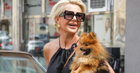 Piesek Joanny Racewicz "gwiazdorzy" w restauracji. Oto wymagania pupila celebrytki