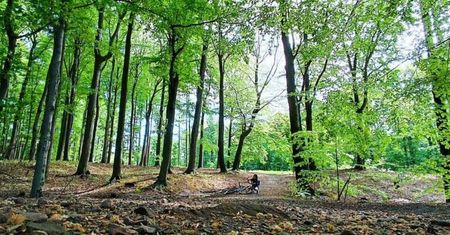 Czerwony szlak rowerowy nr 1 Katowice–Pszczyna. Najpiękniejsza trasa Śląska na dwa kółka