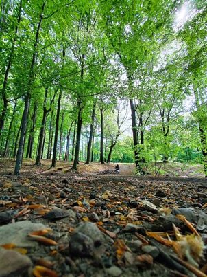 Czerwony szlak rowerowy nr 1 Katowice–Pszczyna. Najpiękniejsza trasa Śląska na dwa kółka